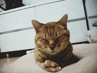 3ba838a47bde5a83694184c4e569b000.gif